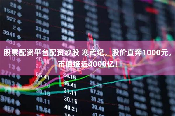股票配资平台配资炒股 寒武纪，股价直奔1000元，市值接近4000亿！
